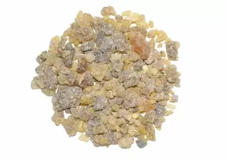 Extrait de Boswellia serrata